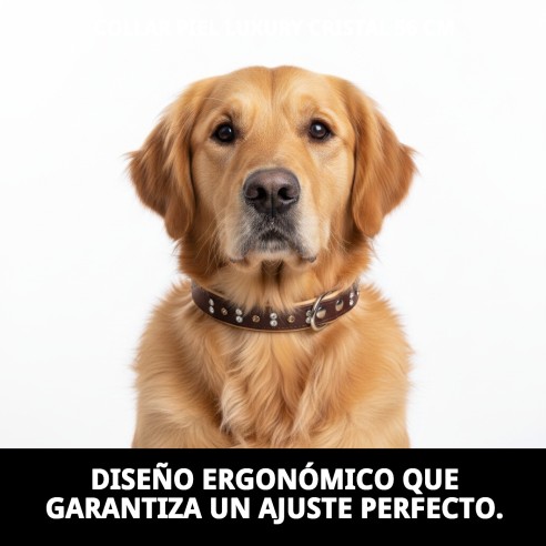 Collar Piel Luxury con Cristales - Elegancia para tu Mascota