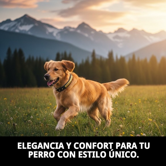 Collar de Piel Luxury 65 cm en Negro y Dorado para Mascotas