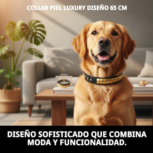 Collar de Piel Luxury 65 cm en Negro y Dorado para Mascotas