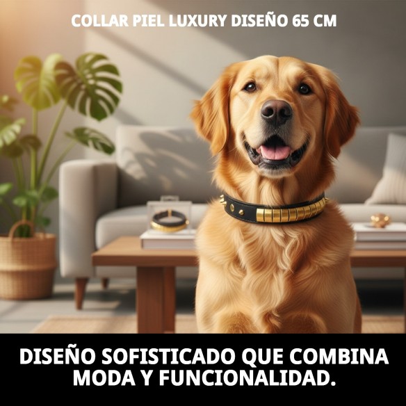 Collar de Piel Luxury 65 cm en Negro y Dorado para Mascotas