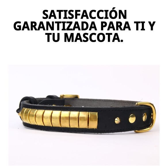 Collar de Piel Luxury 65 cm en Negro y Dorado para Mascotas