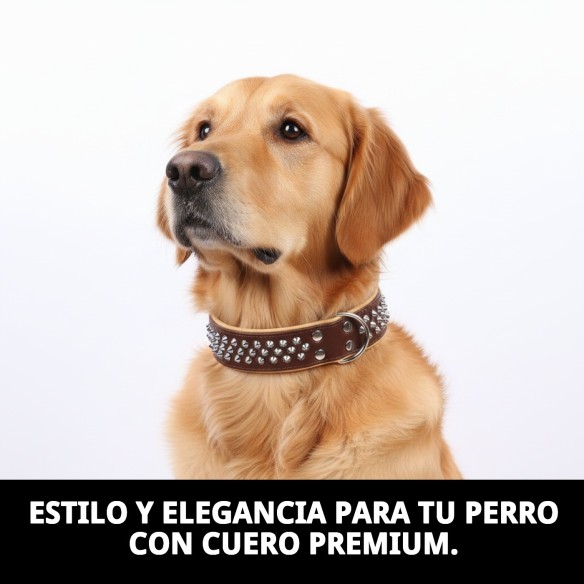 Collar Piel Luxury Clavo 75 cm - Elegancia para tu mascota