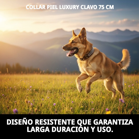 Collar Piel Luxury Clavo 75 cm - Elegancia para tu mascota
