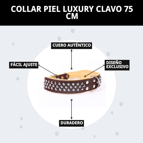 Collar Piel Luxury Clavo 75 cm - Elegancia para tu mascota