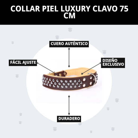 Collar Piel Luxury Clavo 75 cm - Elegancia para tu mascota
