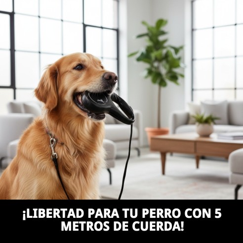 Correa FLEXI NEW CLASSIC S 5m Neón - Ideal para tu mascota