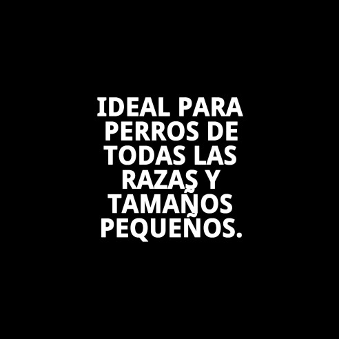 Camiseta Sport para Perros - Estilo y Comodidad Moly