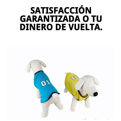 Camiseta Sport para Perros - Estilo y Comodidad Moly