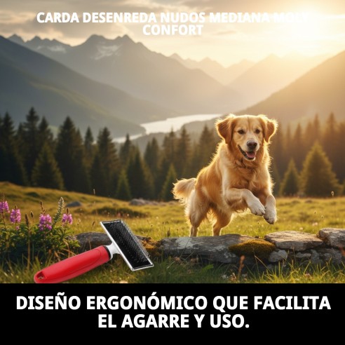 Carda Desenreda Moly Confort Mediana para Mascotas