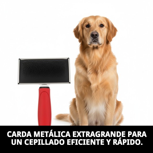 Carda Metálica Extragrande Moly Confort para Peluquería de Mascotas