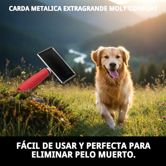 Carda Metálica Extragrande Moly Confort para Peluquería de Mascotas