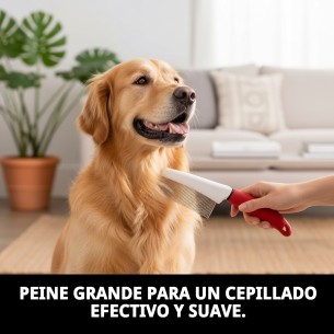 PEINE GRANDE MOLY CONFORT - 2