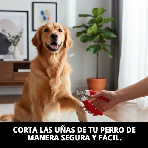 Cortauñas Moly Confort: Cuidado Perfecto para tus Mascotas
