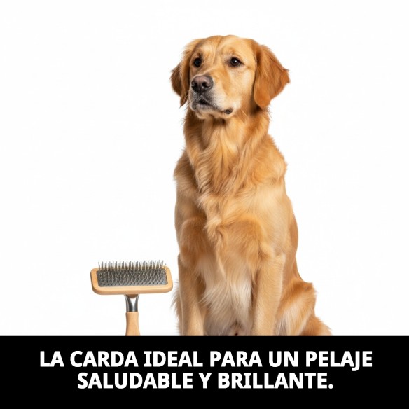 Carda Universal Mediana Moly para Peluquería de Mascotas