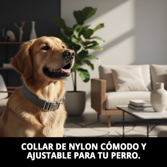 Collar Nylon Confort para Perros 40-65 cm - Comodidad y Estilo