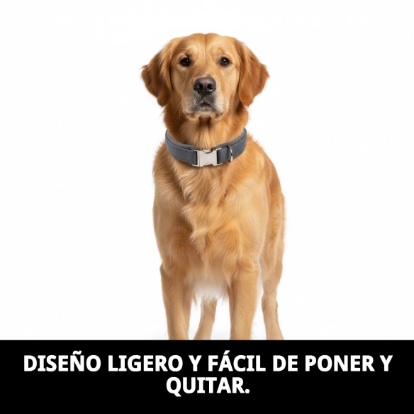 Collar Nylon Confort para Perros 40-65 cm - Comodidad y Estilo