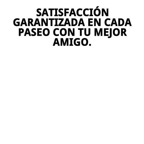 Arnés de Nylon de Seguridad y Paseo para Mascotas M