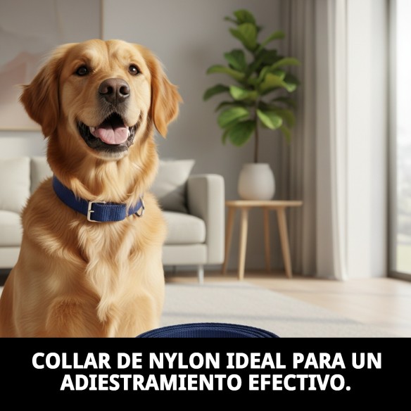 Collar de Nylon para Adiestramiento 85x2.5 cm - Calidad y Estilo
