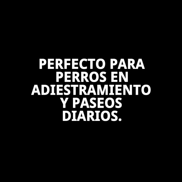 Collar de Nylon para Adiestramiento 85x2.5 cm - Calidad y Estilo