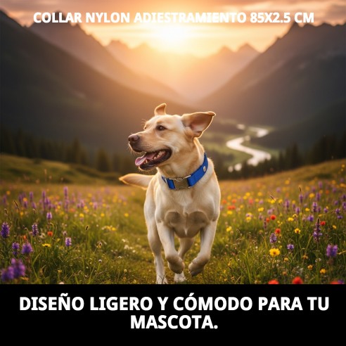Collar de Nylon para Adiestramiento 85x2.5 cm - Calidad y Estilo