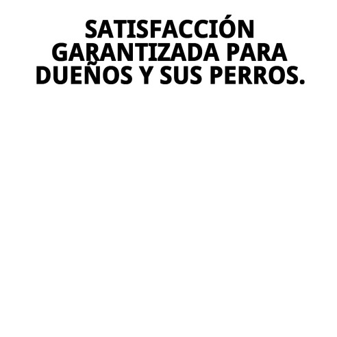 Collar de Nylon para Adiestramiento 85x2.5 cm - Calidad y Estilo