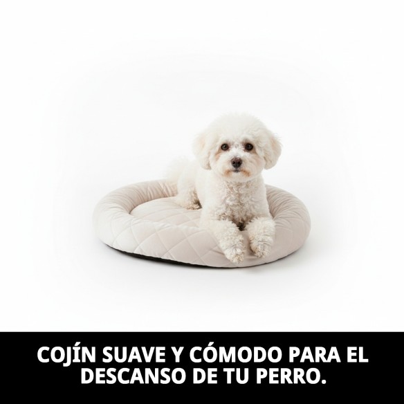 Cojín Perla N.2 45x30x3 cm: Confort para tu mascota