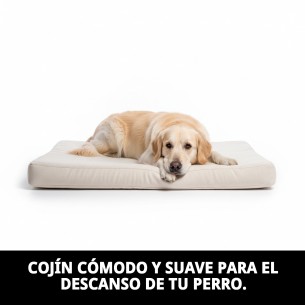 COJIN PERLA N.5 69 X 46 X 3 CM. 2