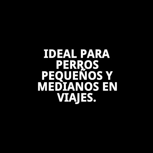 Transportín Gulliver IATA N.6: Comodidad y Seguridad para Mascotas