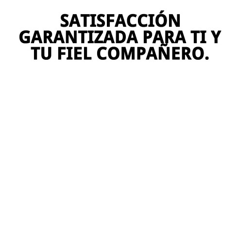 Transportín Gulliver N.2: Comodidad y Seguridad para Mascotas