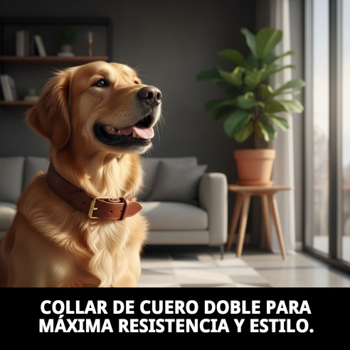 Collar de Cuero Doble 60 x 3,5 cm para tu Mascota