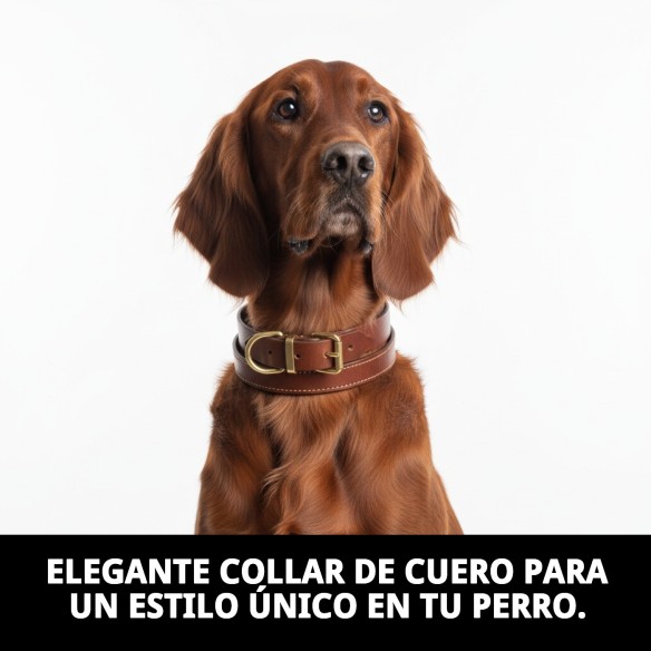 Collar de Cuero Doble 75 x 4 cm para Mascotas Elegante