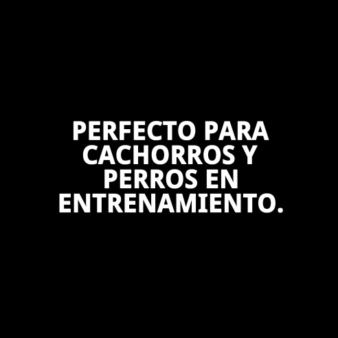 Moly Puppy Pads Grand: Empapadores Desechables para Mascotas