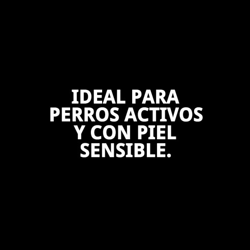 Champú Espuma en Seco 150ml para un Baño Rápido y Eficaz