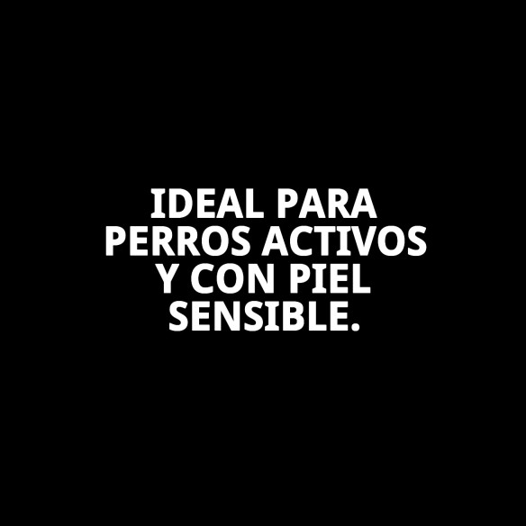 Champú Espuma en Seco 150ml para un Baño Rápido y Eficaz