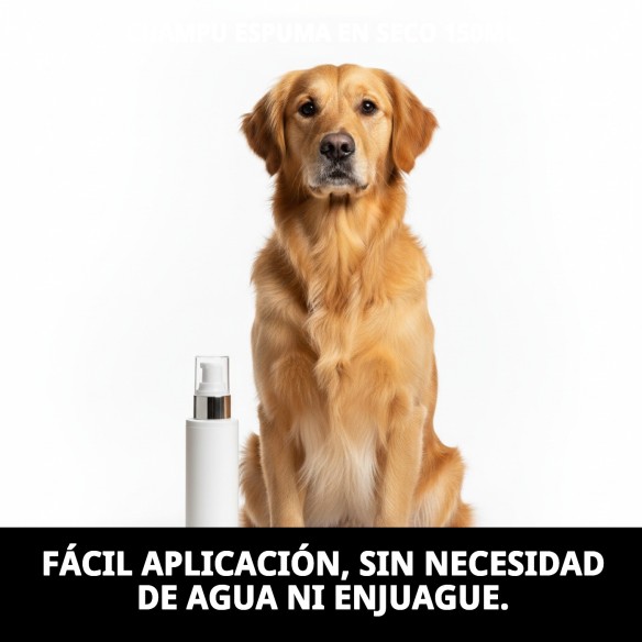 Champú Espuma en Seco 150ml para un Baño Rápido y Eficaz