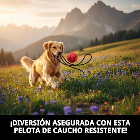 Pelota de Caucho 6cm con Ramal de Nylon para Mascotas