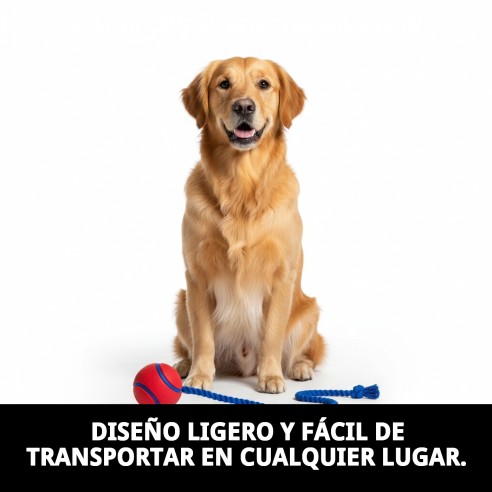 Pelota de Caucho 6cm con Ramal de Nylon para Mascotas