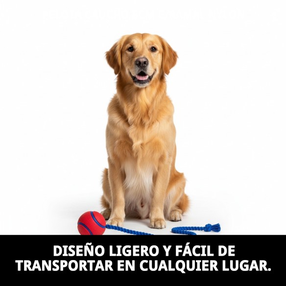 Pelota de Caucho 6cm con Ramal de Nylon para Mascotas