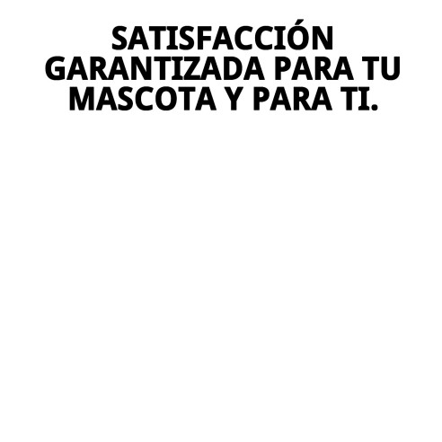 Pelota de Caucho 6cm con Ramal de Nylon para Mascotas