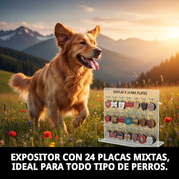 Expositor para 24 Placas Mix: Organiza tus Accesorios