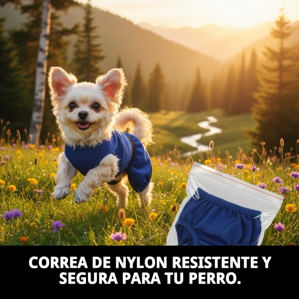 Slip Nylon Extra para Perros en Celo - Talla 32-39 cm