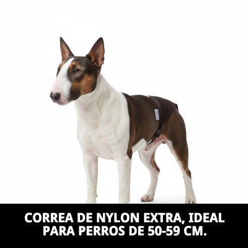 Slip Nylon Extra para Perros en Celo - Talla N.4 50-59cm