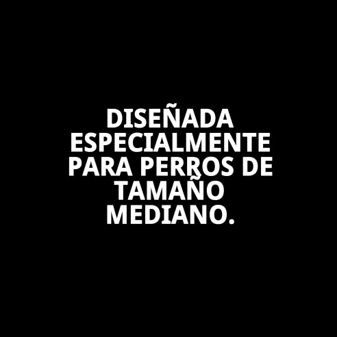 Slip Nylon Extra para Perros en Celo - Talla N.4 50-59cm