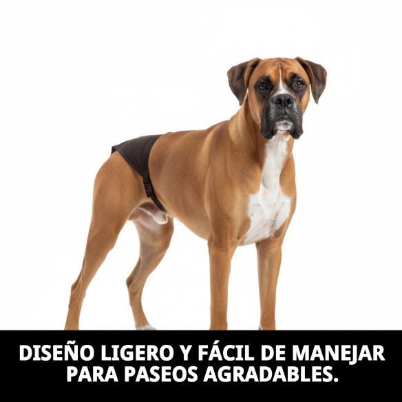 Slip Nylon Extra N.5 para Perros en Celo - Comodidad y Estilo