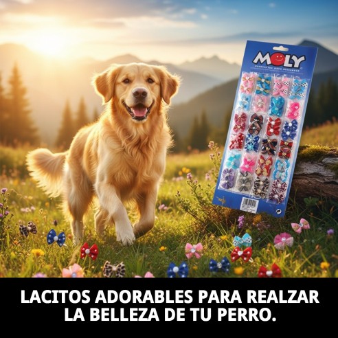 Expositor Modelo 2 x 48 Lacitos para Mascotas - ¡Viste a tu Mejor Amigo!