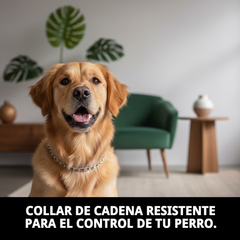 Collar de Cadena Metálica Resistente para Perros 55cm