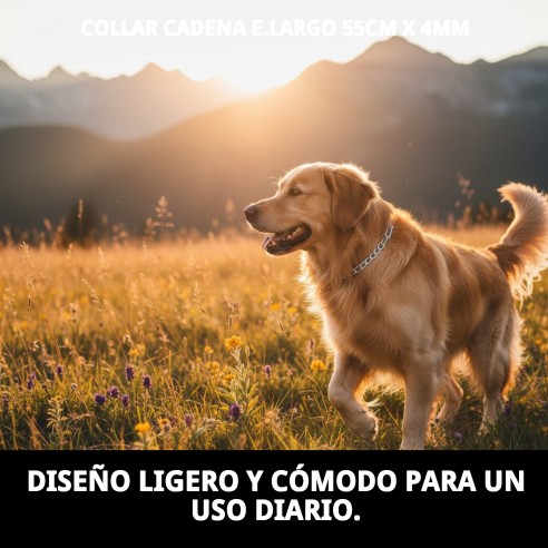Collar de Cadena Metálica Resistente para Perros 55cm
