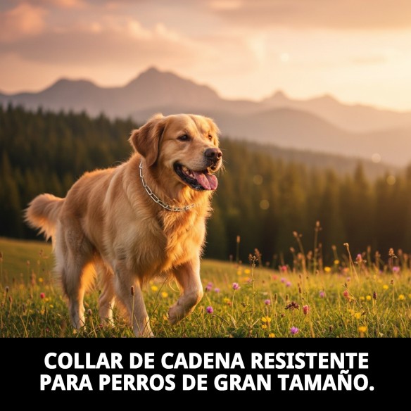 Collar Cadena E.Largo 65cm x 4mm para Mascotas