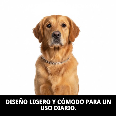 Collar Cadena E.Largo 65cm x 4mm para Mascotas