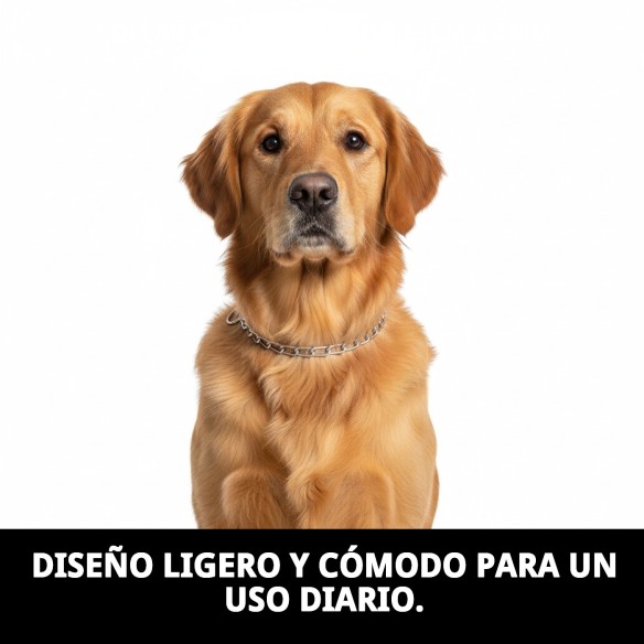 Collar Cadena E.Largo 65cm x 4mm para Mascotas